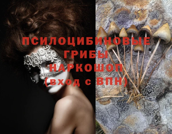 гашишное масло Белокуриха