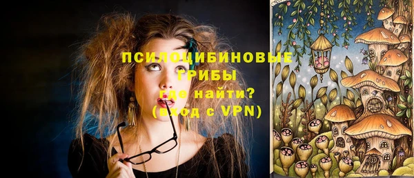 стаф Белоозёрский