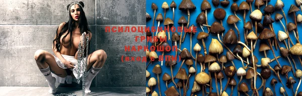 гашишное масло Белокуриха