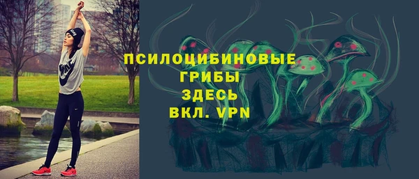 стаф Белоозёрский