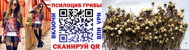 где купить наркотик  Волчанск  ОМГ ОМГ   Галлюциногенные грибы мицелий 